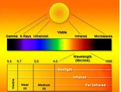 Action des rayons infrarouges sur organisme humain ou
